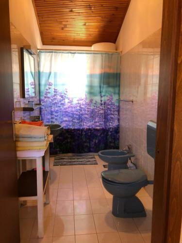 Pleasant Apartment With Seaview