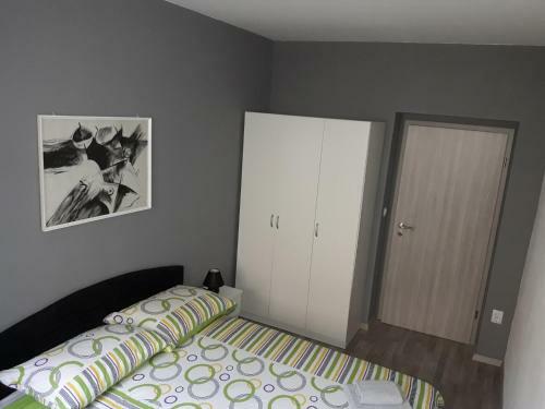 Apartments Viduli?