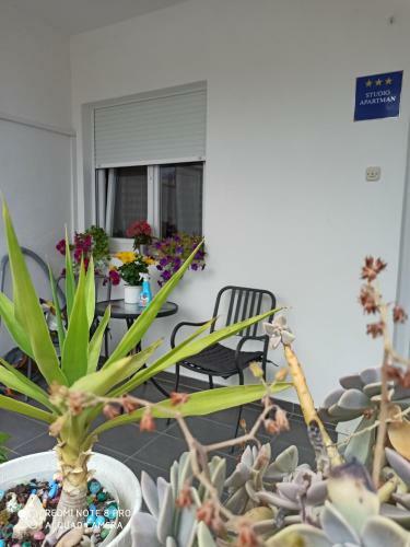 Apartamento Luna