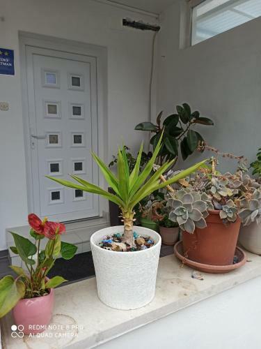 Apartamento Luna