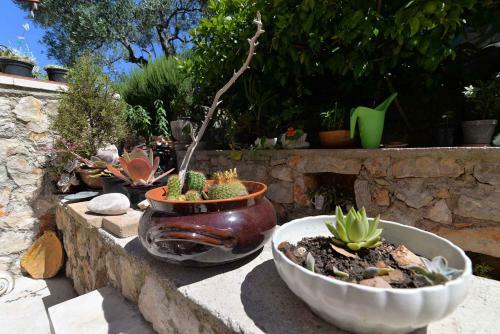 Apartment In Mali Losinj 33349