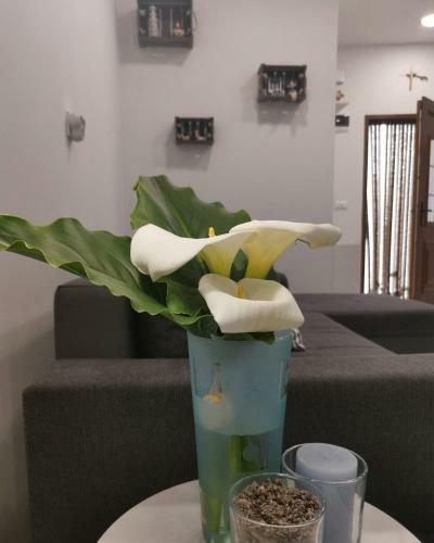 Apartman Stella Maris