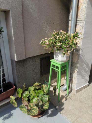 Apartman Oscar Mali Lo?inj