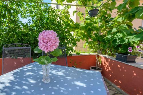 Beautiful Apartment Aleks