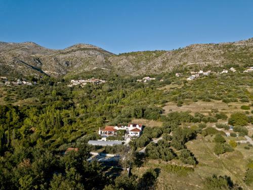 Villa Paulina