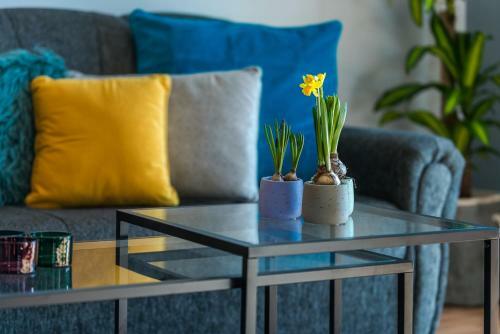 Summer Experience Apartment