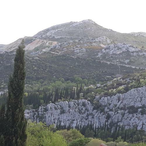 Apartamento Antea