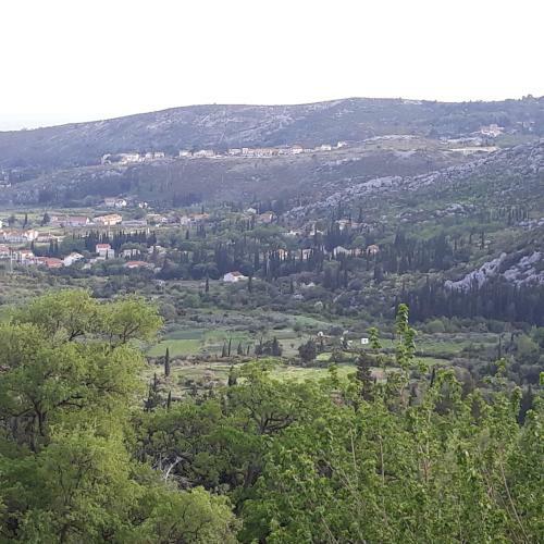 Apartamento Antea