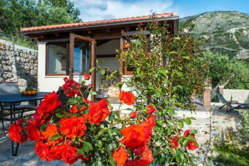Apartamento Poseydon Beach Bungalow