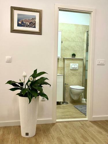 Hostal Guest House Anna
