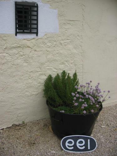 Bed & Breakfast Le Jardin De Rose