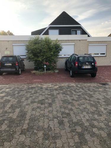 Haustanneneck