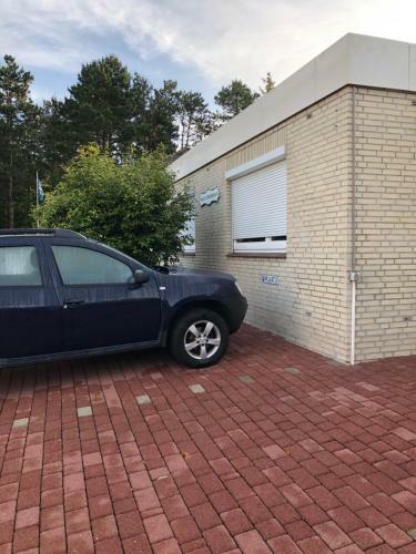 Haustanneneck