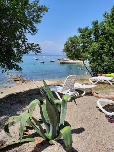 Njivice, Otok Krk, Apartman Dora