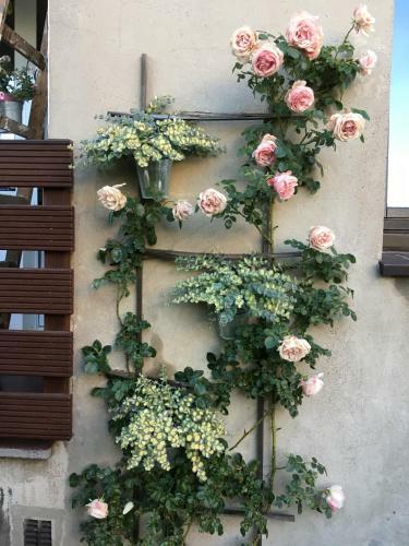 Apartamento Charmant Wohnen
