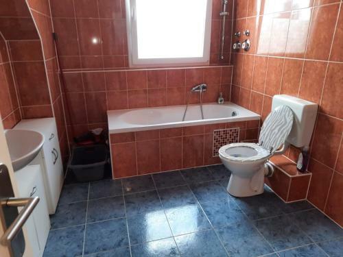 Hostal Pension 43