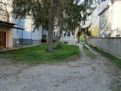 Apartman Kod Kestena