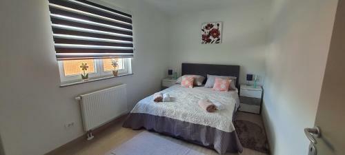 Apartmani Fenestra Tesla I Faust