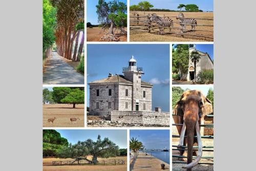 Villa Flora Relax House, Free Parking