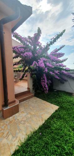 Elysian Homestay Betiga