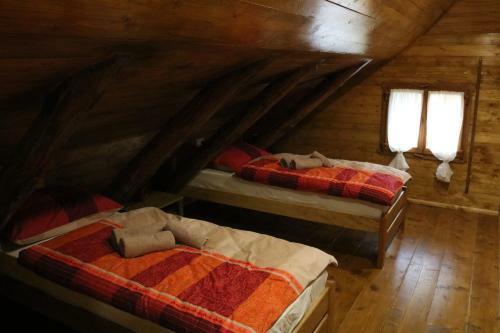Hostal Holiday Home Lina