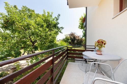 Apartman Petelin