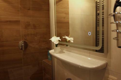 Apartment / Flat / Wohnung Im Herzen Von Dresden