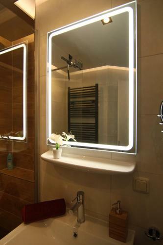 Apartment / Flat / Wohnung Im Herzen Von Dresden