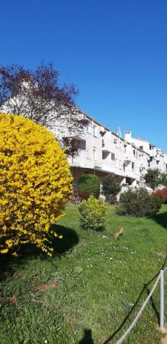 Apartamento Monium