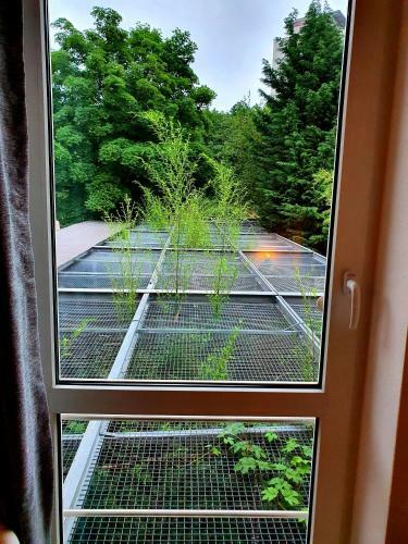 Apartamento Papageiennest