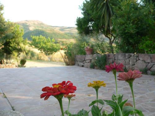 Agroturismo Agriturismo Sa Tanca Noa