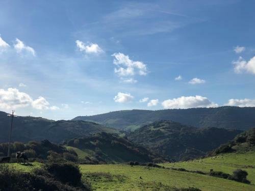 Agroturismo Agriturismo Sa Tanca Noa