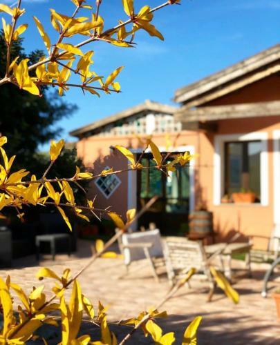 Agroturismo Agriturismo Sa Tanca Noa