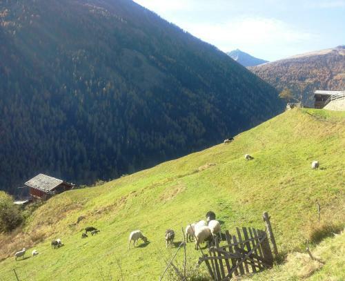Apartamento Appartamenti Acidule