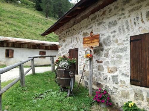 Apartamento Appartamenti Acidule