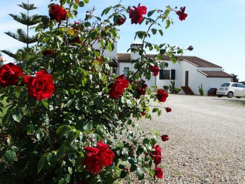 Bed & Breakfast Il Pagio