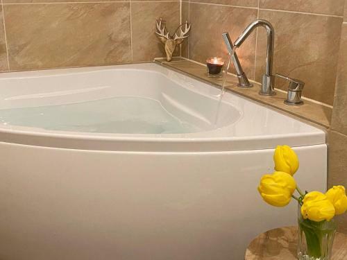Apartamento Ferienwohnungen Schweizerhaus