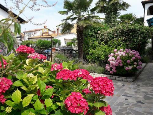 Apartmani Rita Oliva