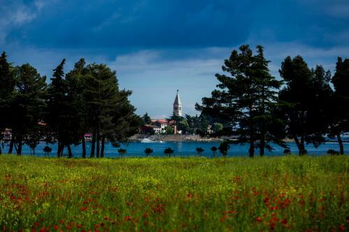 Belvedere Holidays Villas
