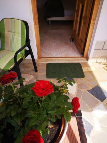 Apartmani Rita Studio
