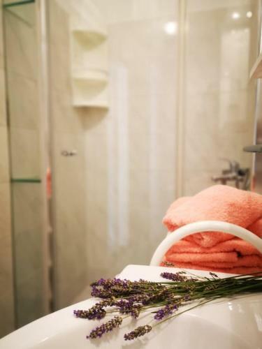 Apartmani Rita Studio