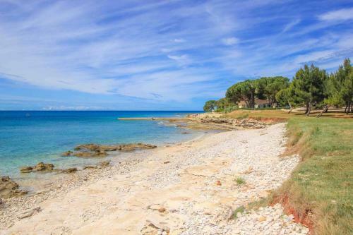 Apartma Novigrad