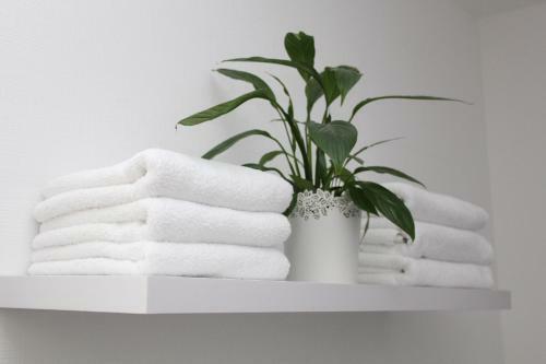 Apartamento Ferienwohnung Muelenz