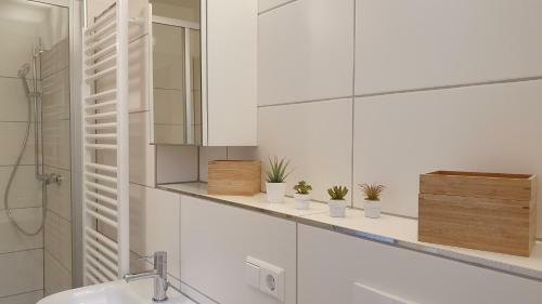 Pineapple Apartments Dresdner Heide Mit Garten