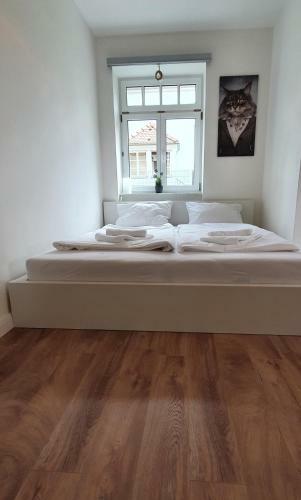 Pineapple Apartments Dresdner Heide Mit Garten