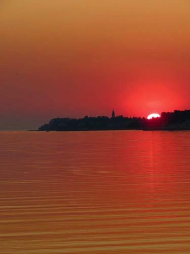 Apartment Novigrad City Centar