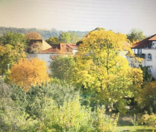 Apartamento Ferienwohnung Dresden Laubegast