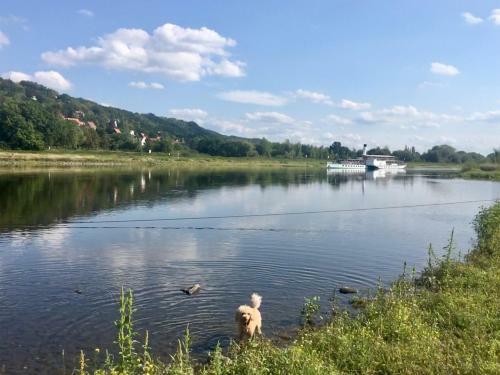 Apartamento Ferienwohnung Dresden Laubegast