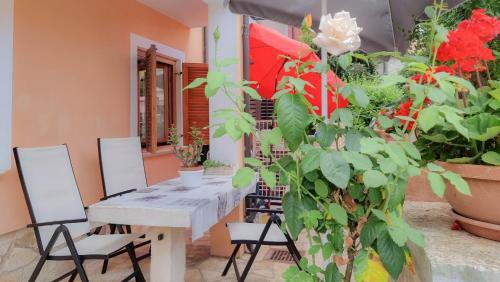 Apartamento Valentino