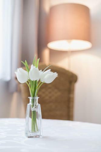 Apartamento Spannende Tage In Dresden